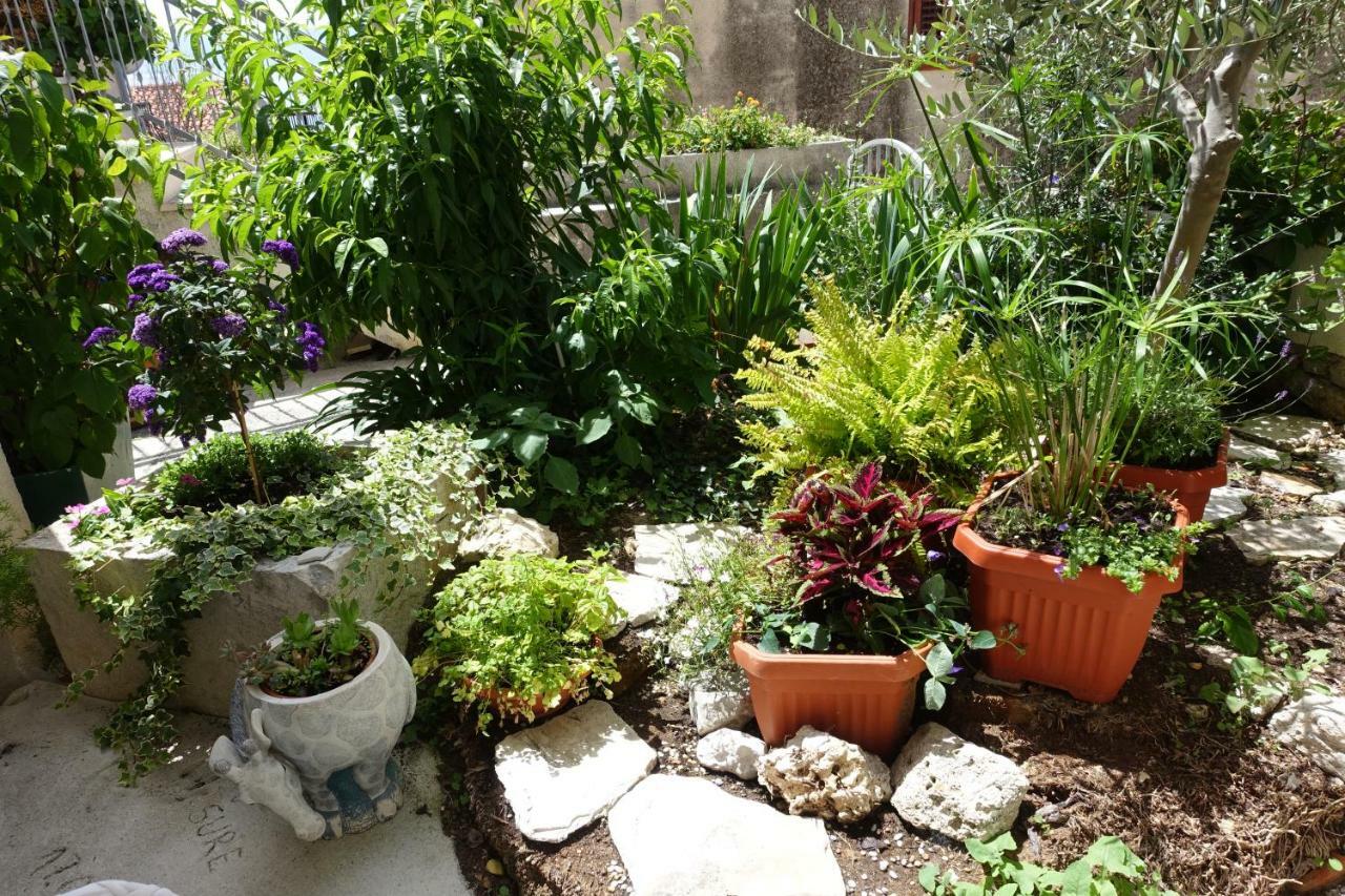 בול Apartman Maja מראה חיצוני תמונה